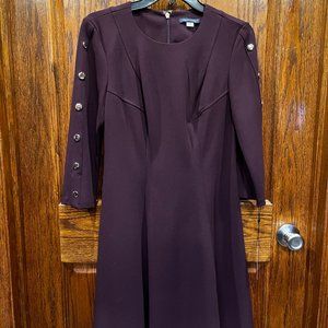 Tommy Hilfiger Fit n Flare Plum Dress, Size 6, NWT